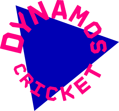 JOB VACANCY: Community Participation Officer (Dynamos Intro Ambassador) - Deadline Extended